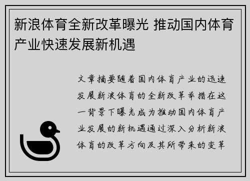 新浪体育全新改革曝光 推动国内体育产业快速发展新机遇